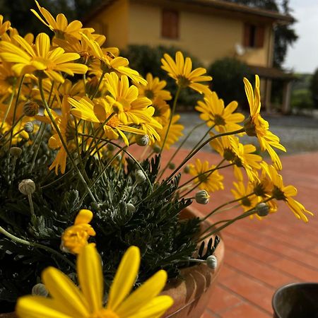 Agriturismo La Cerbana Palaia Esterno foto