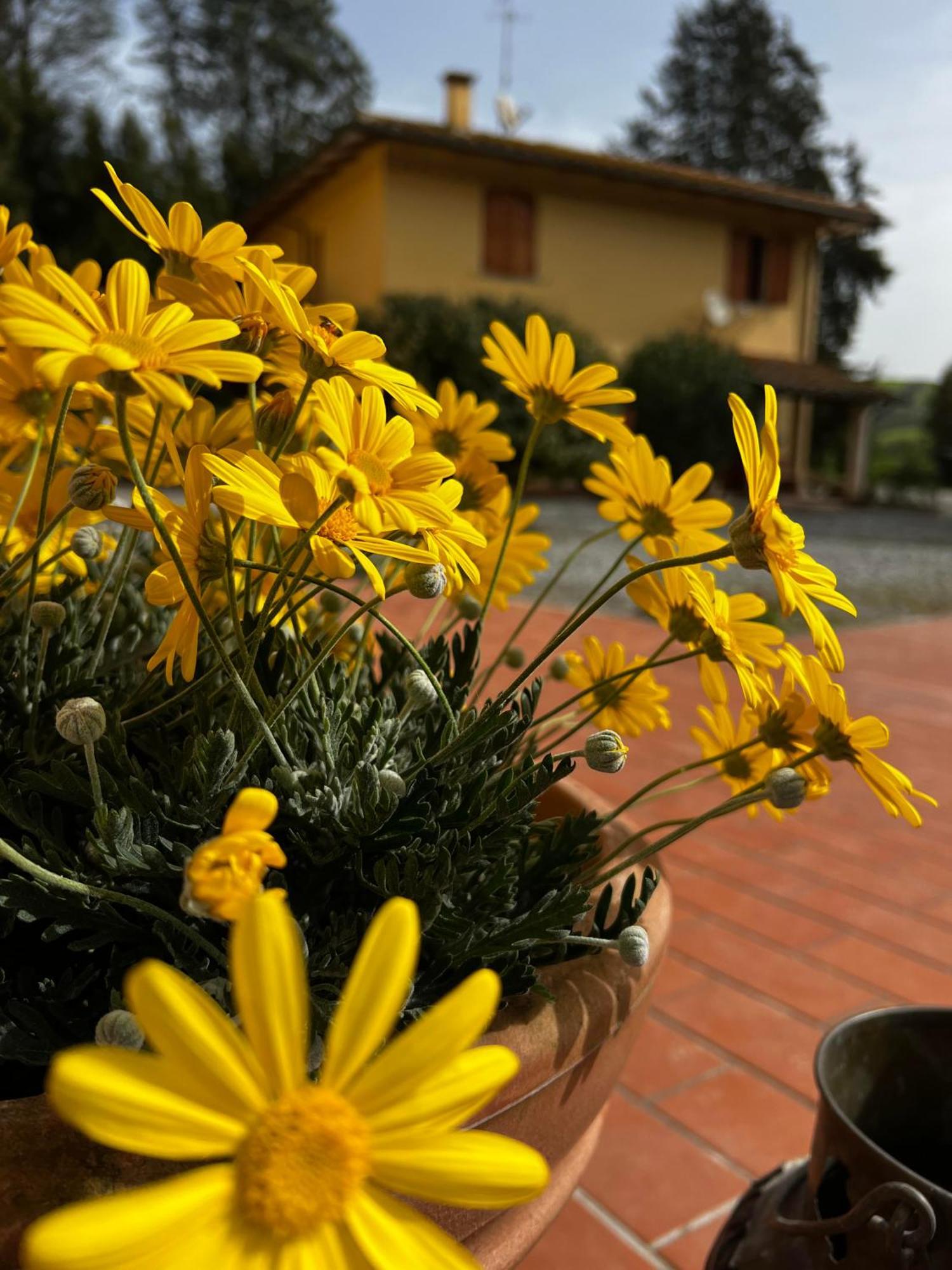 Agriturismo La Cerbana Palaia Esterno foto